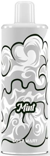 Картридж Lost Mary Psyper 5500 Mint