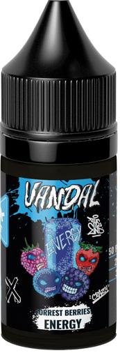 Жидкость для ЭСДН VANDAL ICE SALT 30мл 20мг Forest Berries Energy extra