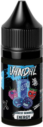 Жидкость для ЭСДН VANDAL ICE SALT 30мл 20мг Forest Berries Energy