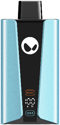 WAKA soPro 20000 Blueberry Raspberry (Черника Малина)