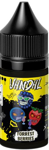 Жидкость для ЭСДН VANDAL SALT 30мл 20мг Forest Berries