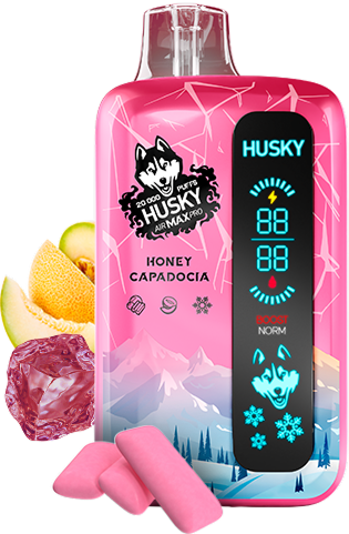 HUSKY AIRMAX PRO 20000 Honey Capadocia (Дынная жвачка со льдом)