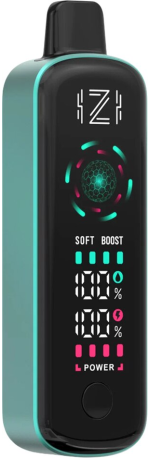 ЭСДН IZI QM 10000 2% ЗЕЛЕНЫЙ ЧАЙ МЯТА