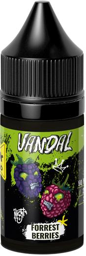 Жидкость для ЭСДН VANDAL SALT 30мл 20мг Forest Berries extra