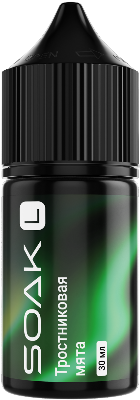 Жидкость для ЭСДН SOAK SALT 30мл 20мг Cane Mint/Тростниковая мята