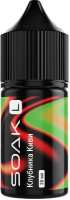 Strawberry Kiwi/ Клубника Киви 20мг SOAK SALT 30мл Жидкость
