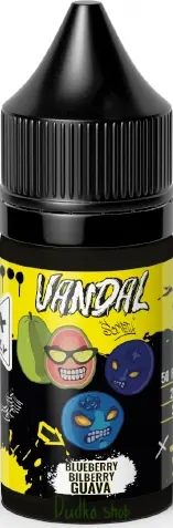 Жидкость для ЭСДН VANDAL SALT 30мл 20мг Blueberry Bilberry Guava