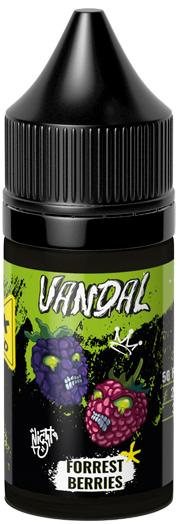 Жидкость для ЭСДН VANDAL OXID SALT 30мл 20мг Forest Berries