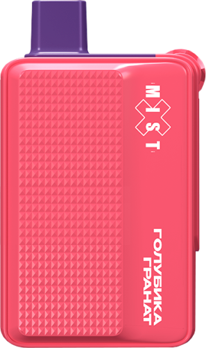 iMISTi X Rollin 6000 Голубика Гранат