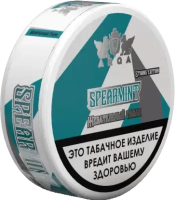 Жевательный табак ARQ TOBACCO 16гр Мята М