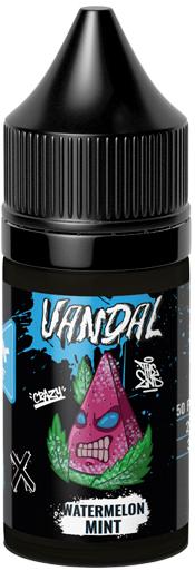 Жидкость для ЭСДН VANDAL ICE SALT 30мл 20мг Watermelon Mint extra