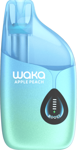 WAKA LIGHT DIVA 25000 Черника Кислая Малина
