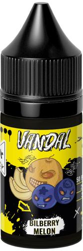 Жидкость для ЭСДН VANDAL SALT 30мл 20мг Bilberry Melon