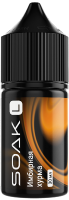 Жидкость для ЭСДН SOAK SALT 30мл 20мг Ginger Persimmon/Имбирная хурма