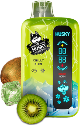 HUSKY AIRMAX PRO 20000 Chilly Kiwi (Кислый киви со льдом)