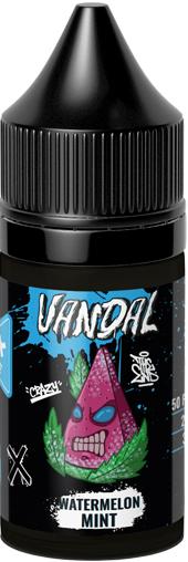 Жидкость для ЭСДН VANDAL ICE SALT 30мл 20мг Watermelon Mint