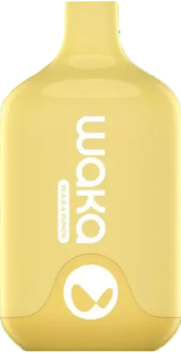 ЭСДН WAKA SMASH 2% 6000 Pinenana Melon (Банан Дыня)