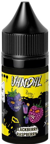 Жидкость для ЭСДН VANDAL SALT 30мл 20мг Blackberry Raspberry